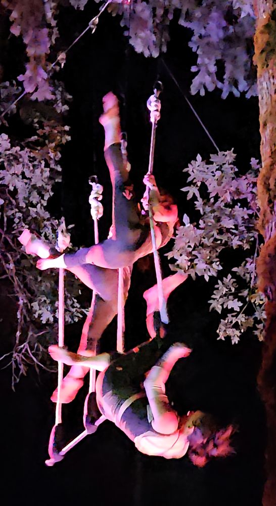 A-WOL Dance Collective