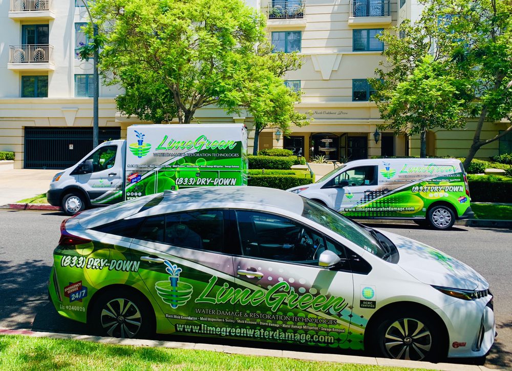 LimeGreen Water Damage & Restoration